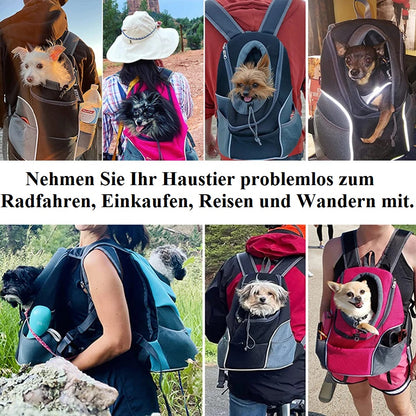 Hundetasche – Bequemer & sicherer Transport für deinen Vierbeiner! 👜🐶