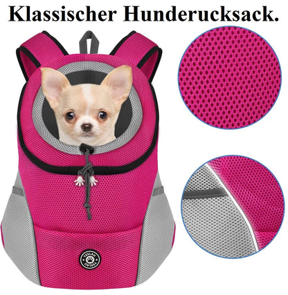 Hundetasche – Bequemer & sicherer Transport für deinen Vierbeiner! 👜🐶