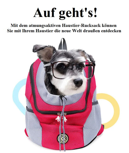 Hundetasche – Bequemer & sicherer Transport für deinen Vierbeiner! 👜🐶